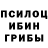 Галлюциногенные грибы мицелий Anton Levshin