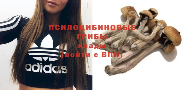 гашиш Вяземский