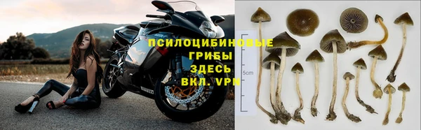 гашиш Вяземский