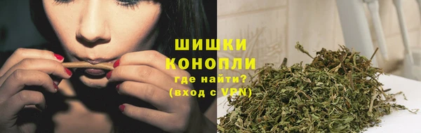 МДПВ Горно-Алтайск