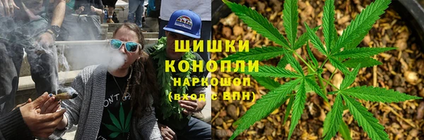 стаф Вязники