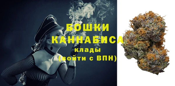 МДПВ Горно-Алтайск
