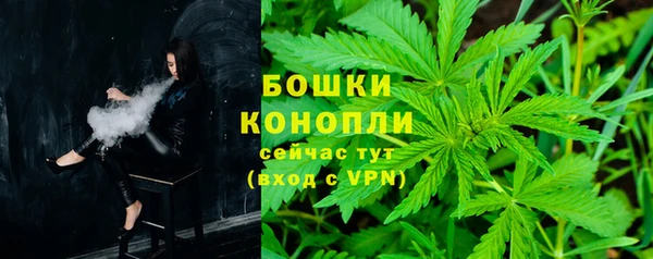 стаф Вязники