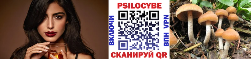 купить   Копейск  Галлюциногенные грибы Psilocybe 